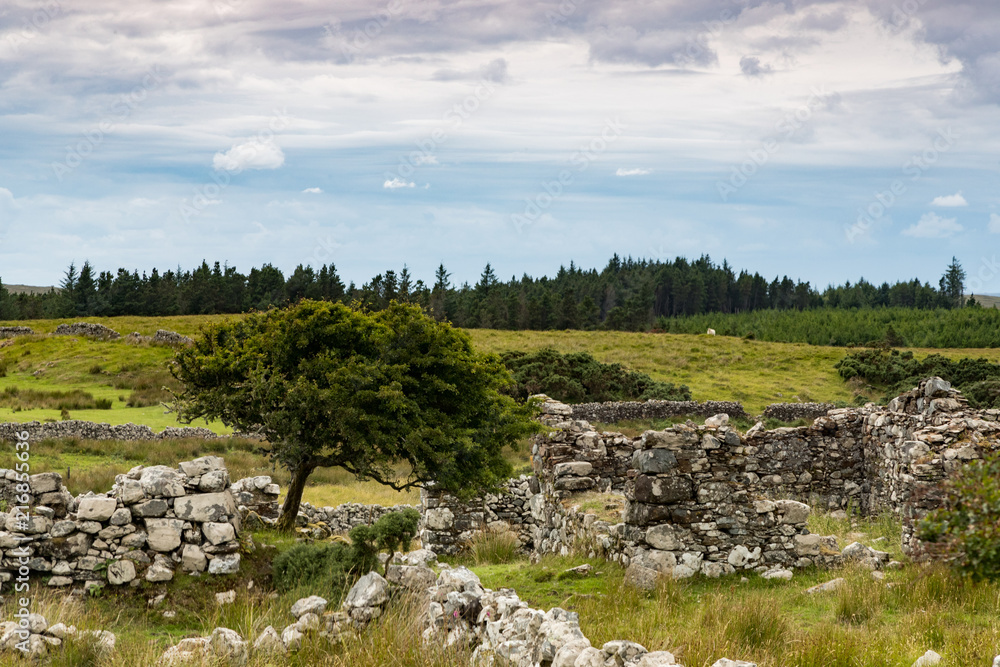 Old stone wall and building ruins in rural connemara, Republic of Ireland
