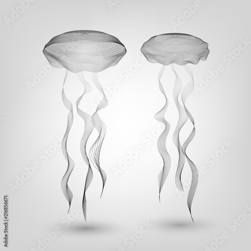 Two graphic jellyfish on a white background
