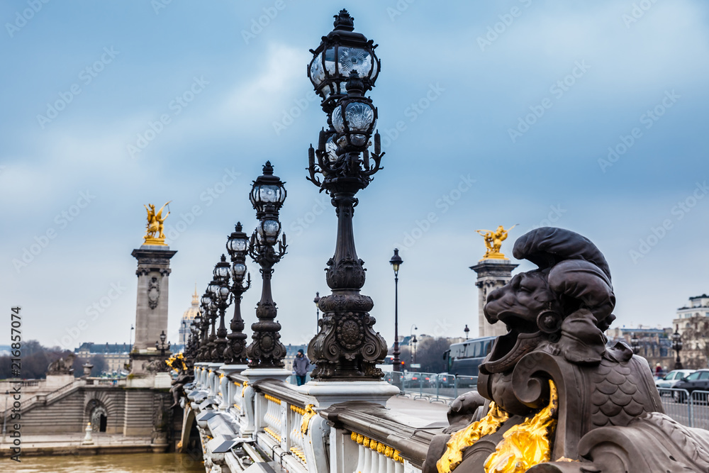 The Pont Alexandre III in a freezing winter day in Paris