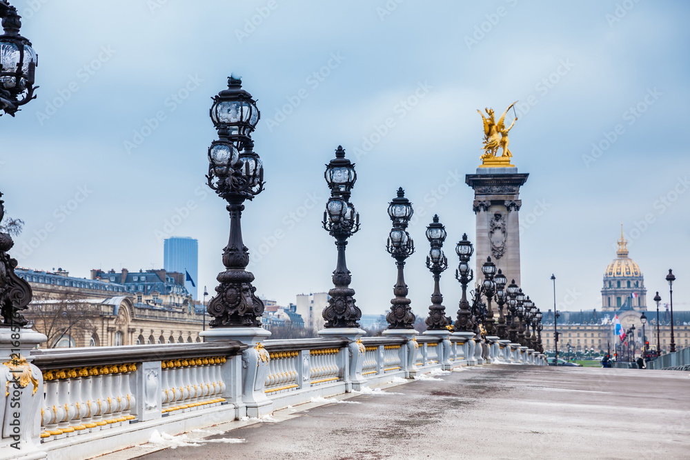 The Pont Alexandre III in a freezing winter day in Paris