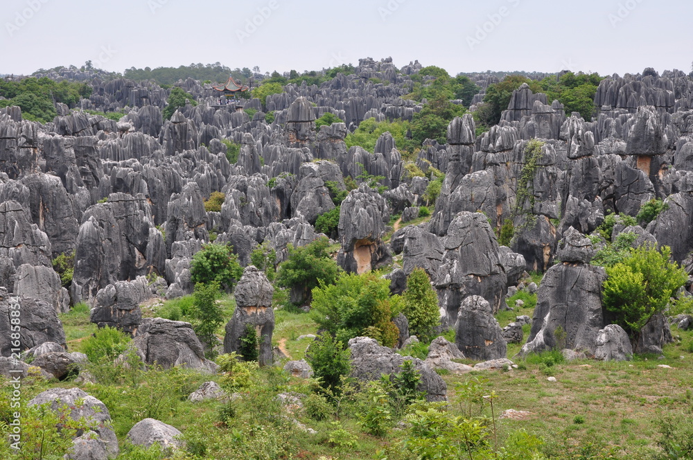 Stone Forest. Shilin Park, China Stone Forest. Shilin Park, China