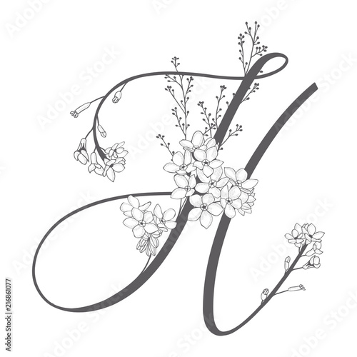 Vector Hand Drawn floral H monogram and logo