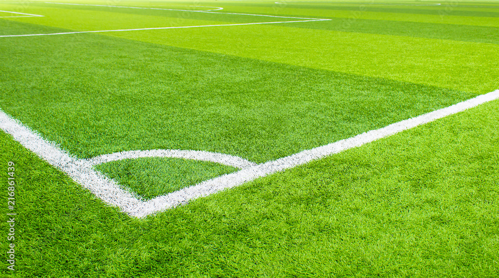 Indoor Soccer,Soccer field artificial grass,Copy space