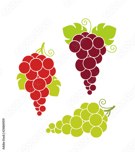 Wine grapes. Isolated grapes on white background