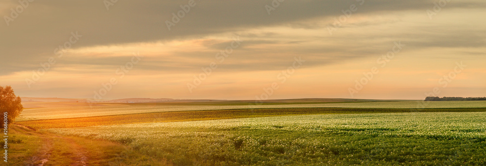 Obraz premium Sunset light of the slopes fields of agricultural crops
