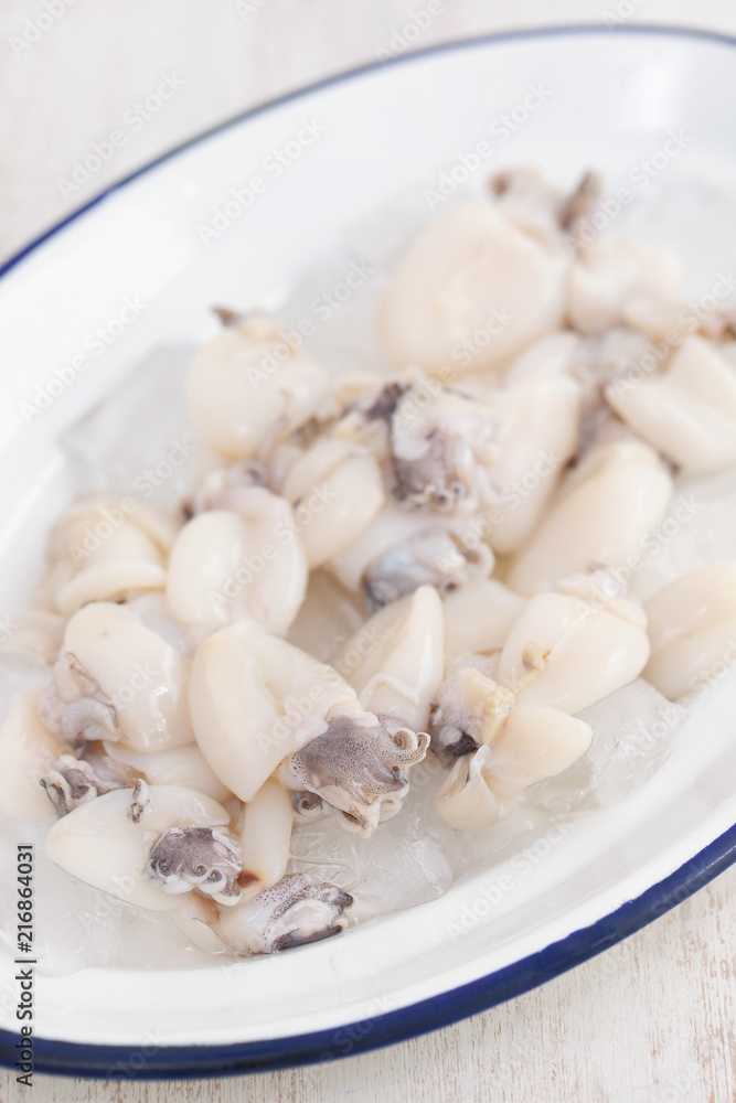 fresh cuttlefish with ice on dish fresh cuttlefish with ice on dish