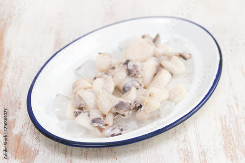 fresh cuttlefish with ice on dish