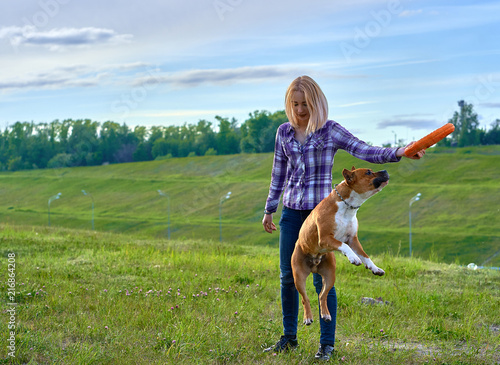 A young blonde girl is training a dog of the breed American Staffordshire Terrier.  Summer cloudy evening.