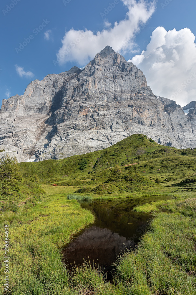 Grindelwald First – Top of Adventure