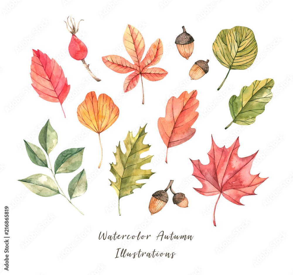 Hand drawn watercolor illustration. Set of fall leaves. Forest design elements. Hello Autumn! Perfect for seasonal advertisement, invitations, cards - obrazy, fototapety, plakaty 