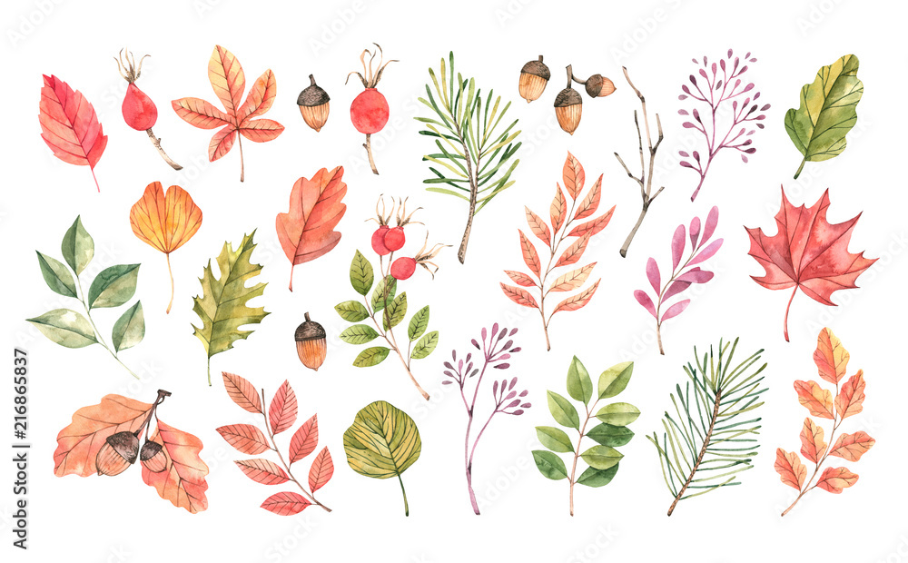 Hand drawn watercolor illustration. Set of fall leaves, acorns, berries, spruce branch. Forest design elements. Hello Autumn! Perfect for seasonal advertisement, invitations, cards - obrazy, fototapety, plakaty 