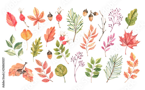 Hand drawn watercolor illustration. Set of fall leaves, acorns, berries, spruce branch. Forest design elements. Hello Autumn! Perfect for seasonal advertisement, invitations, cards photo