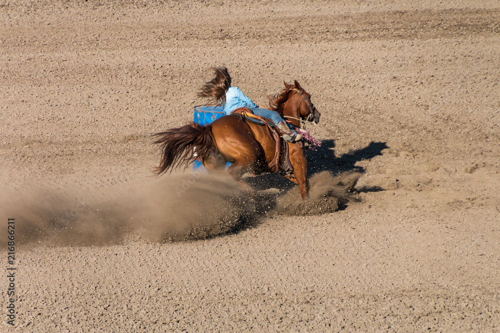 Barrel Racing A young cowgirl with long blond hair in a blue shirt rides on  the