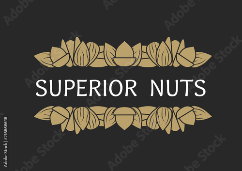 Vector abstract illustration on the theme of the logo for nuts, consisting of almond, walnut, peanut, pistachio and hazelnut. nuts still life composition set