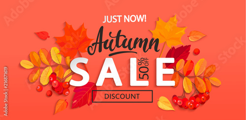 Banner for Autumn sale with colorful seasonal fall leaves and rowan for shopping discount promotion. Vector illustration.