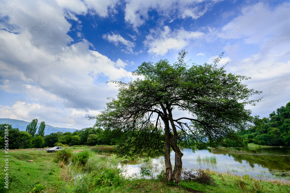 Beautiful landscape with lake and alone tree, Armenia Beautiful landscape with lake and alone tree, Armenia