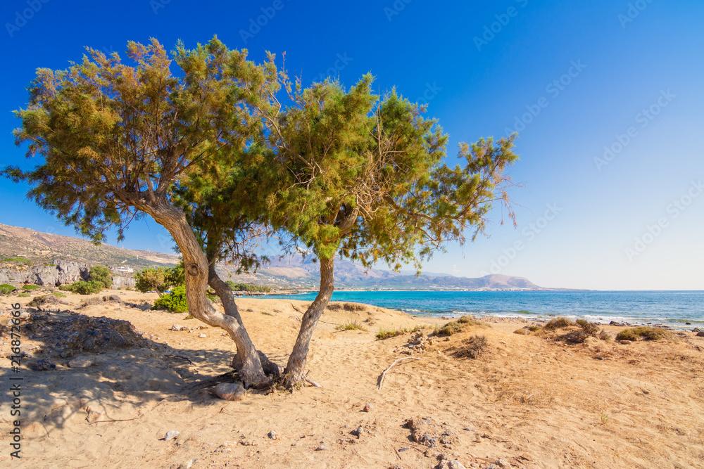Famous sandy beach of Falasarna at the north west of Chania, Crete, Greece. Famous sandy beach of Falasarna at the north west of Chania, Crete, Greece.