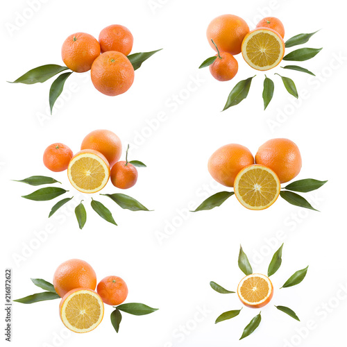 Oranges on a white background. Fresh citrus fruits on a white background.