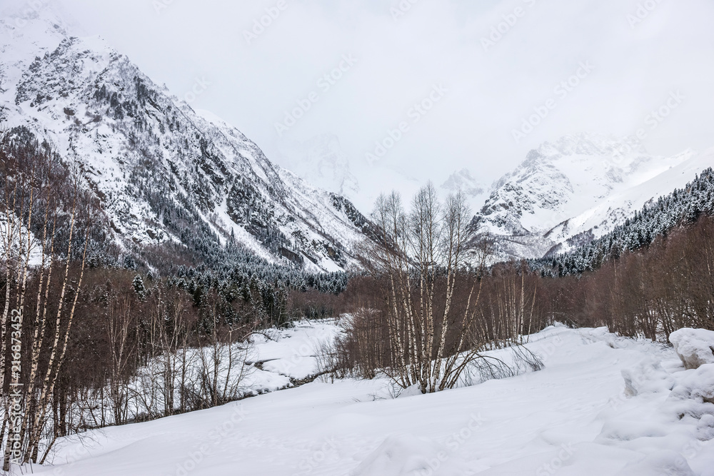 Snow covered mountain valley in Dombai. River Aliber and Alibek glacier in snowy winter day. Karachaevo-Cherkessia, Russia.