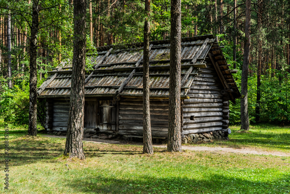 Ancient house in deep forest