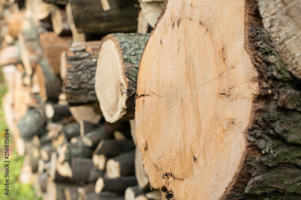 Stocking up of firewood. Pile of round wood logs ready for winter , Stack of firewood. Spruce wood background Stocking up of firewood. Pile of round wood logs ready for winter , Stack of firewood. Spruce wood background