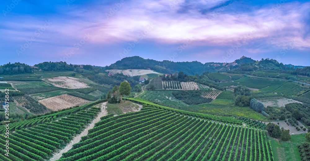 Aerial shots of italian wineyards