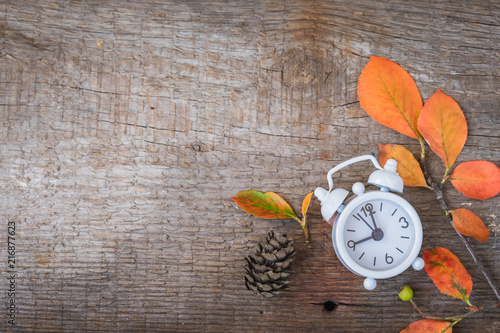 Back to school. Alarm clock, leaves and cones, September 1. photo