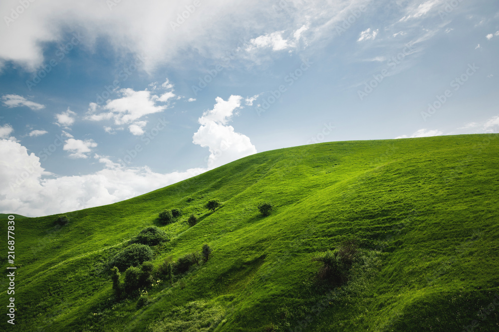 A gentle slope of a green hill with rare trees and lush grass against a blue sky with clouds. The Sonoma Valley