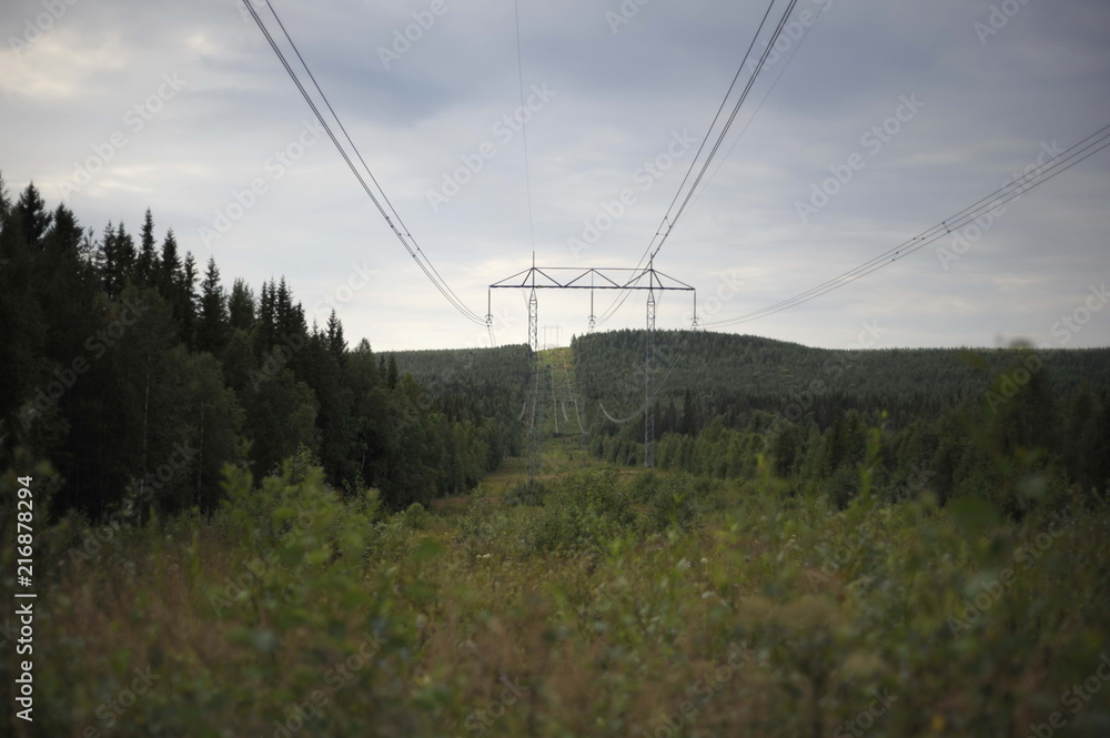 Northern mountains, forests, ecology, electricity, power line, wires