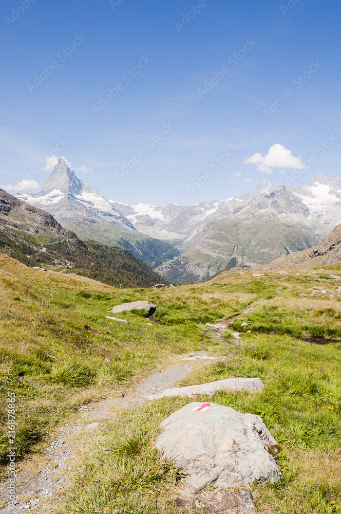 Zermatt, Wallis, Wanderweg, Blauherd, Sunnegga, Matterhorn, Walliser Berge, Alpen, Gletscher, Bergwiesen, Alpenkräuter, Sommer, Schweiz