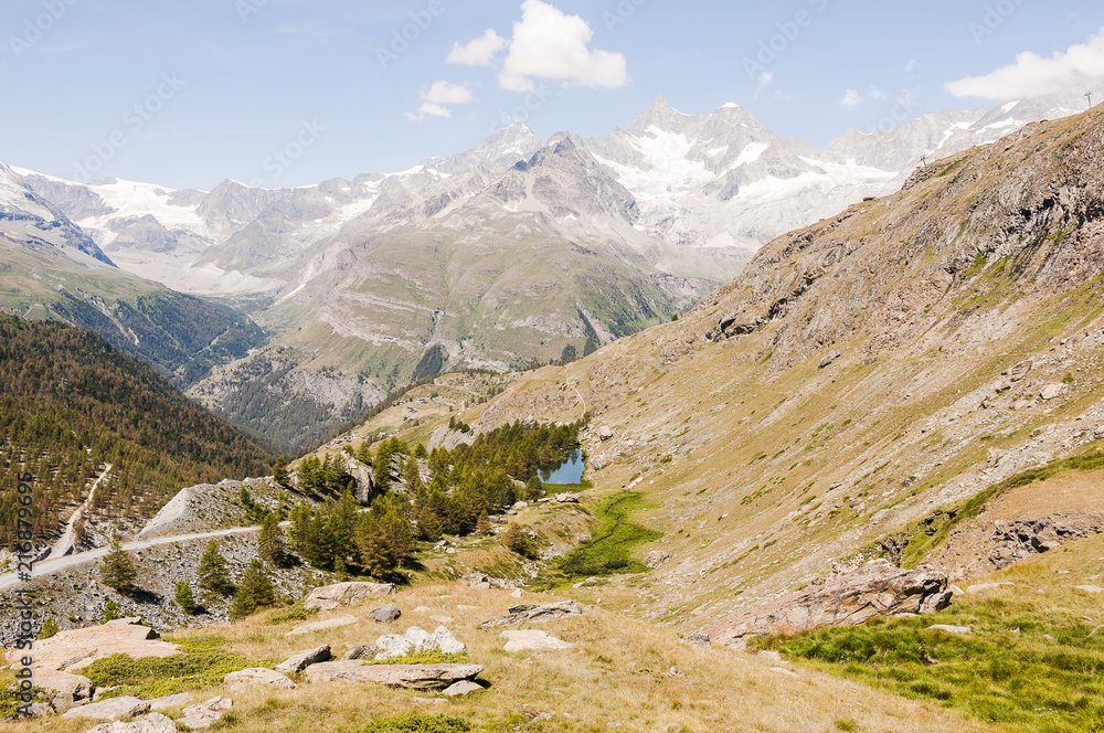 Zermatt, Wallis, Blauherd, Wanderweg, Bergsee, Grindjisee, Hochmoor, Schweizer Berge, Walliser Alpen, Alpen, Bergwiesen, Bergkräuter, Sommer, SCheiz
