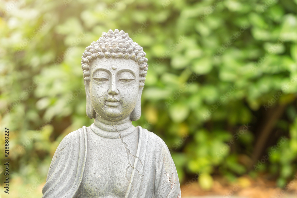 peaceful buddha statue in green garden