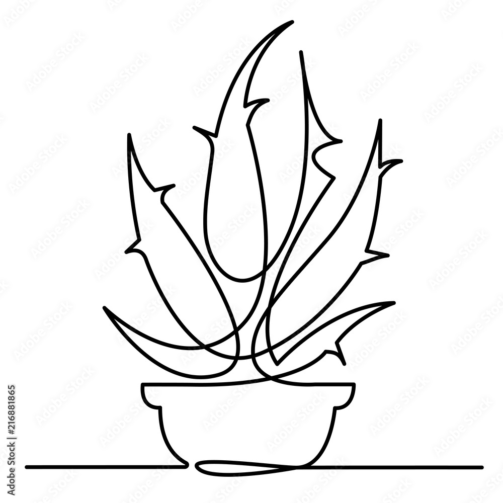 Continuous Line Drawing of Vector Aloe Vera logo icon for natural ...