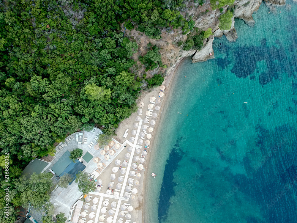 Aerial view of a beach with pines and bright water