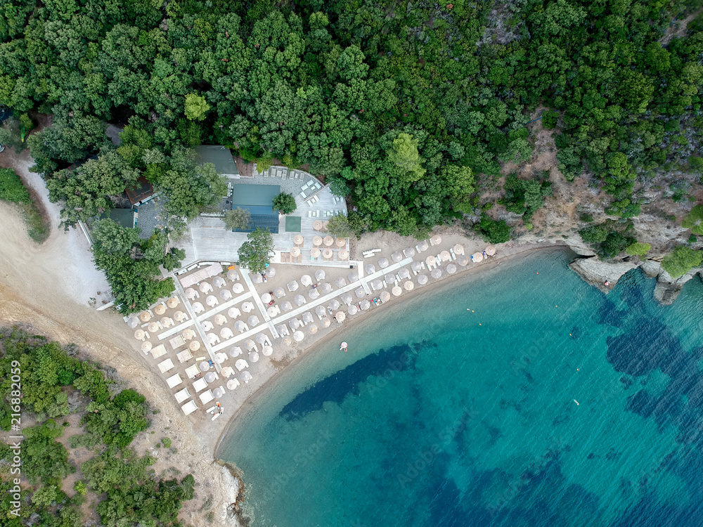 Fototapeta premium Aerial view of a beach with pines and bright water