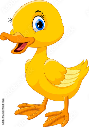 Cute duck cartoon 