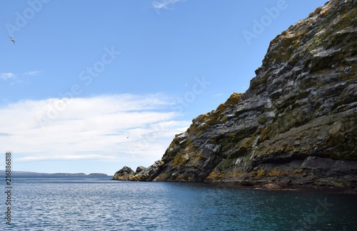  view of Great Island natural coastline, many birds flying over the cliffs; Witless Bay Ecological Reserve Newfoundland, Canada