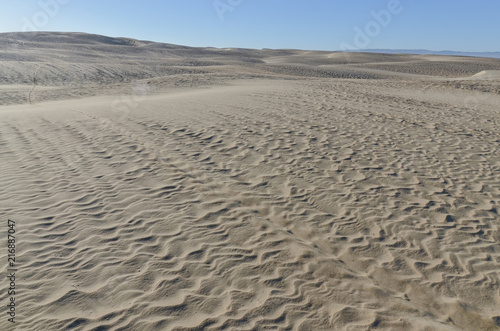 vast sand dunes on Pacific Ocean coast Oceano Dunes State Vehicular Recreation Area  San Luis Obispo county  California  USA