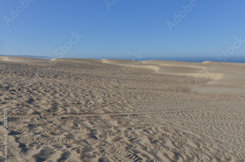vast sand dunes on Pacific Ocean coast Oceano Dunes State Vehicular Recreation Area, San Luis Obispo county, California, USA