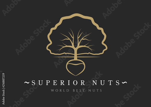 Hazelnut icon. Flat illustration of hazelnut vector icon for web