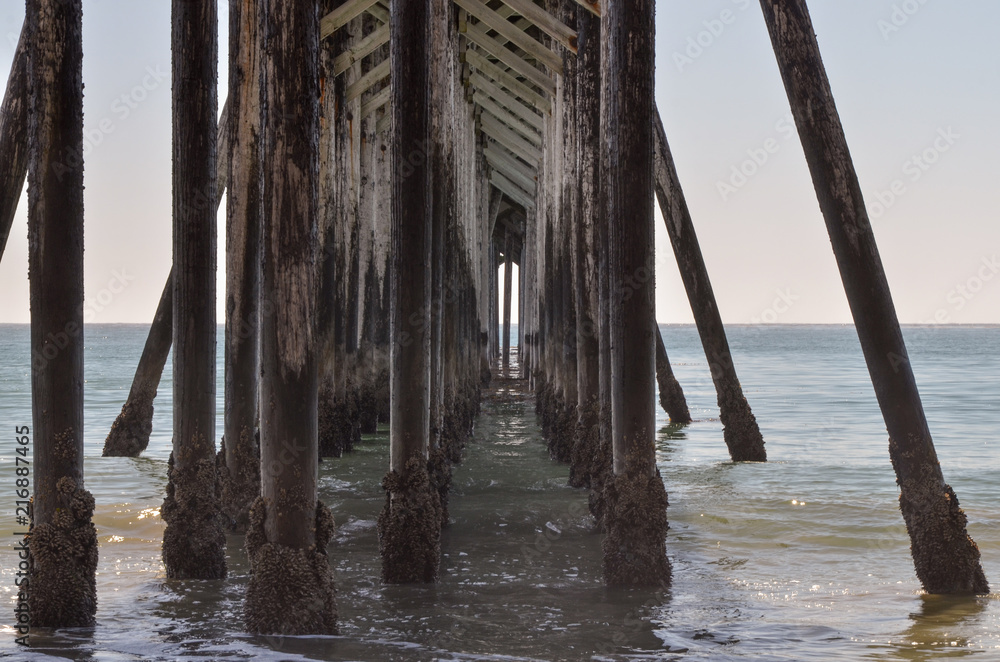 underneath San Simeon Pier on Pacific coast San Luis Obispo county, California, USA