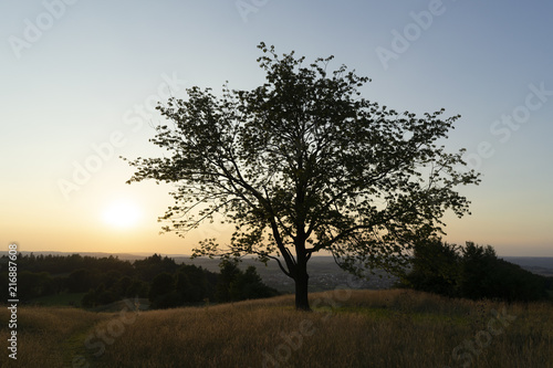 Abendstimmung im Hochsommer