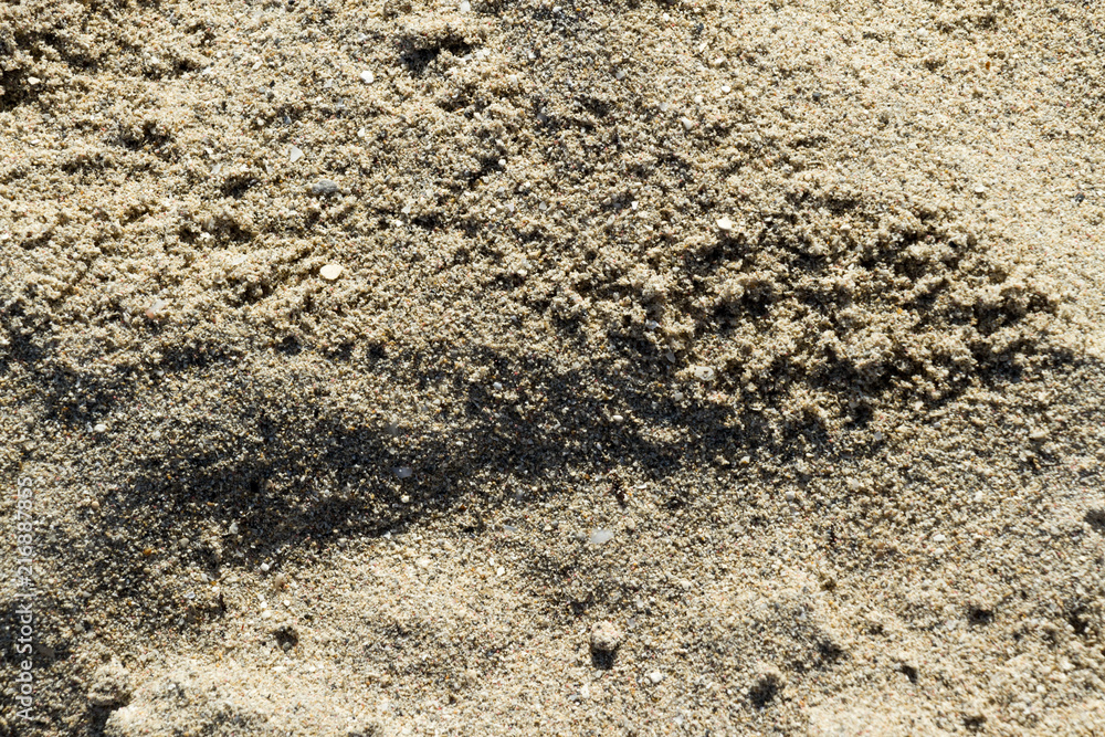 sand texture close up sand texture close up