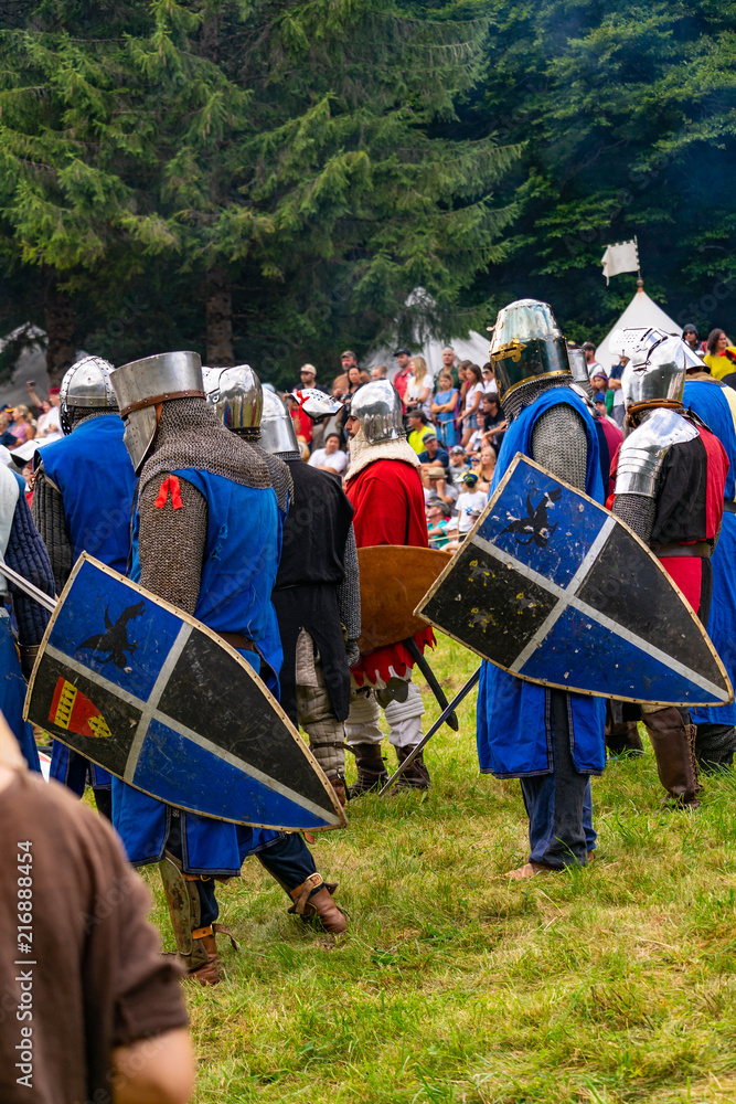 Obraz premium Knight games Ehrenberg 2018