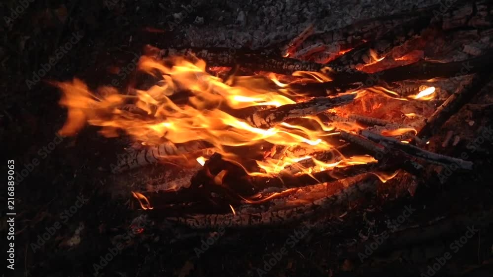 Burning fire close up Burning fire close up