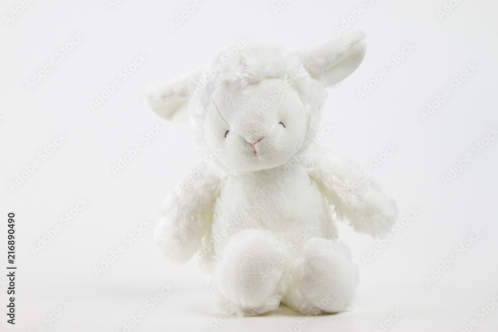 Fototapeta premium cute teddy lamb