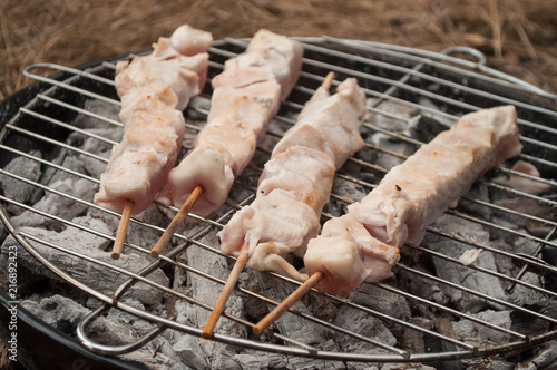 closeup of chicken skewers on barbecue in outdoor