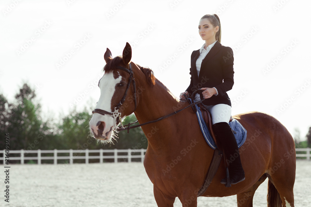 Obraz premium Rider elegant woman riding her horse outside