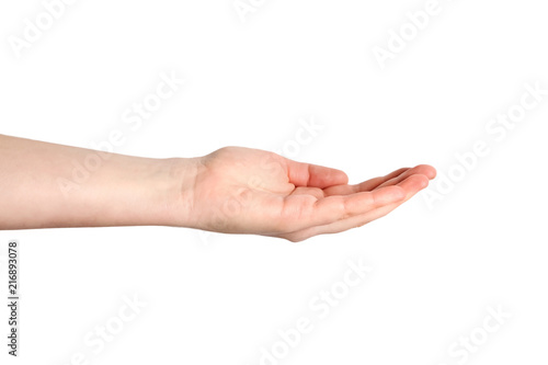 Opened a woman's hand, palm up isolated on white background