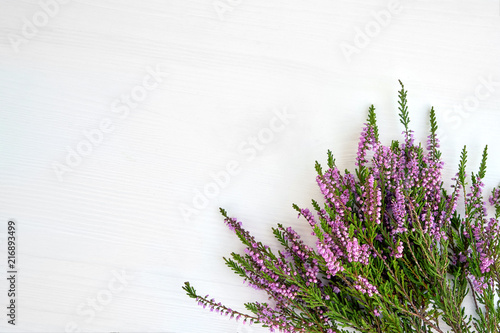 Bunch of common heather on white background. Copy space, top view.